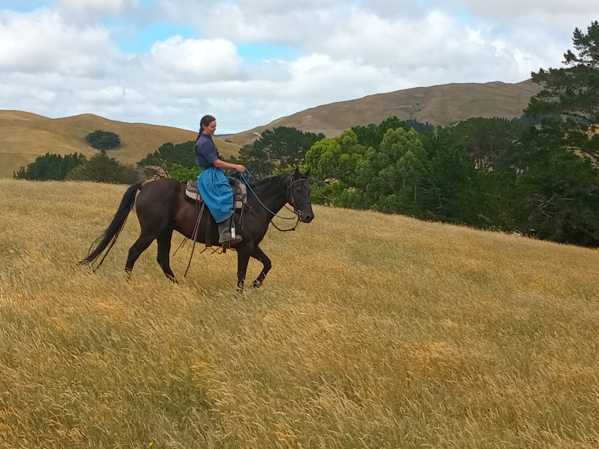 IMG-20251224-WA0004 IMG-20251224-WA0004