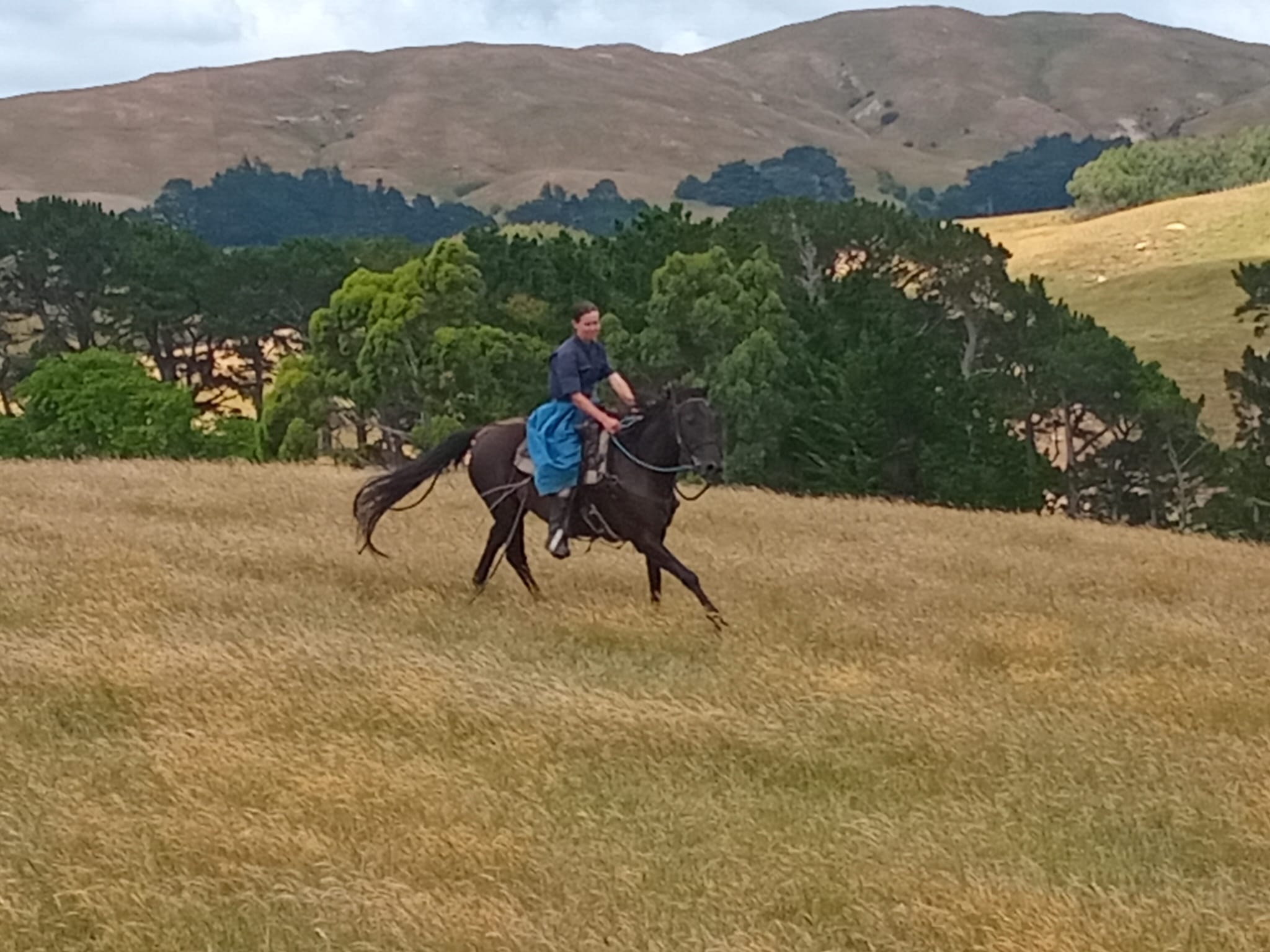 IMG-20251224-WA0006 IMG-20251224-WA0006